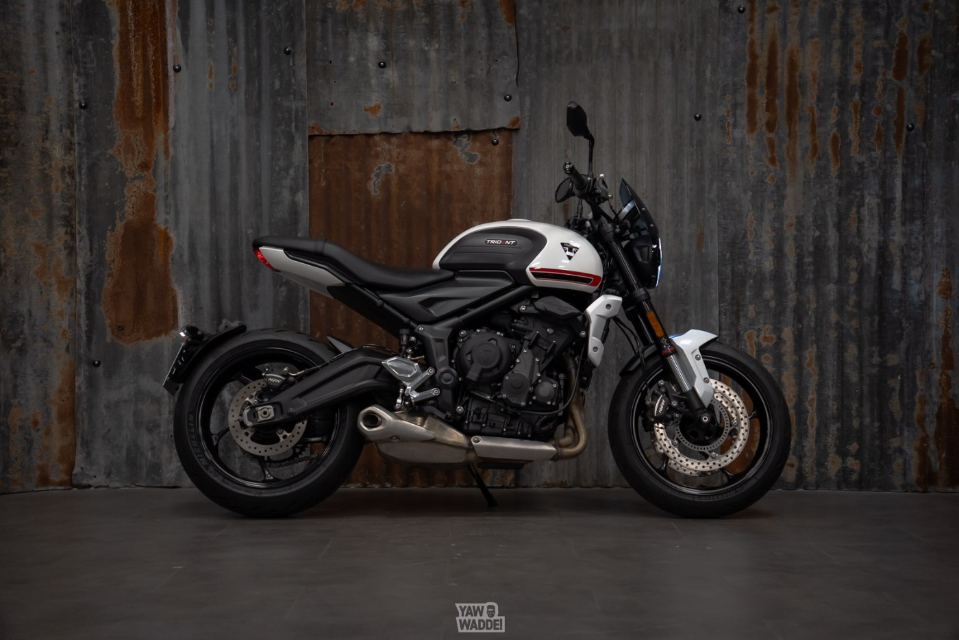 Triumph Trident 660: Crystal White