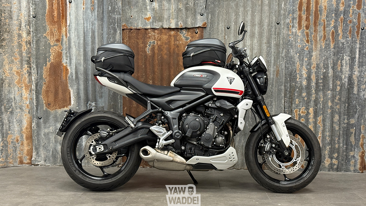 Triumph Trident 660: Mat Crystal White